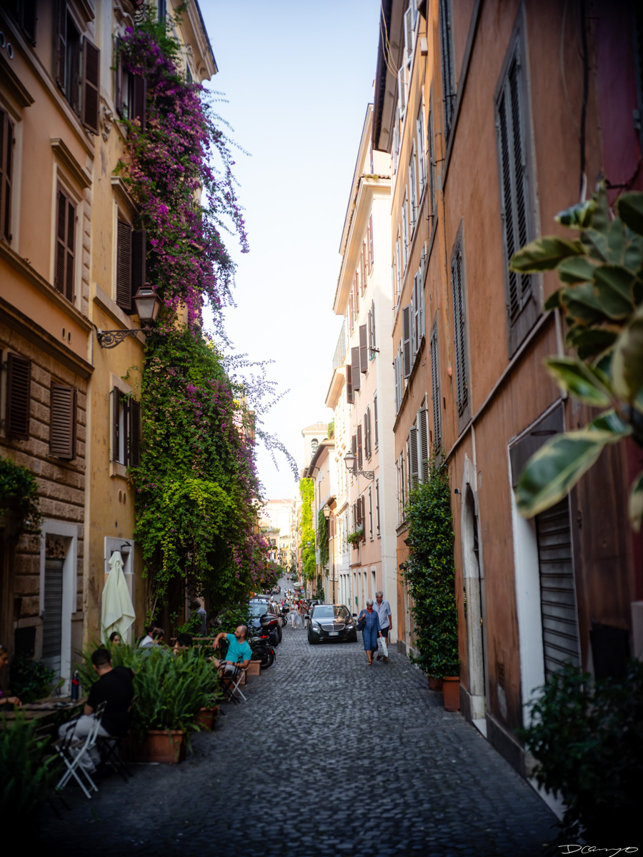 Photos from a trip through Italy in Summer of 2023. Locations include Rome, Florence, Tuscany, Castello di Bossi in Chianti, Siena, San Gimignano, Sirmione on Lake Garda, Bologna, Gudon, Italian Dolomites, Seceda, Cadini di Misurina, and Venice.